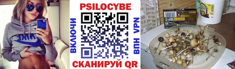 площадка какой сайт  Дальнереченск  Галлюциногенные грибы прущие грибы 