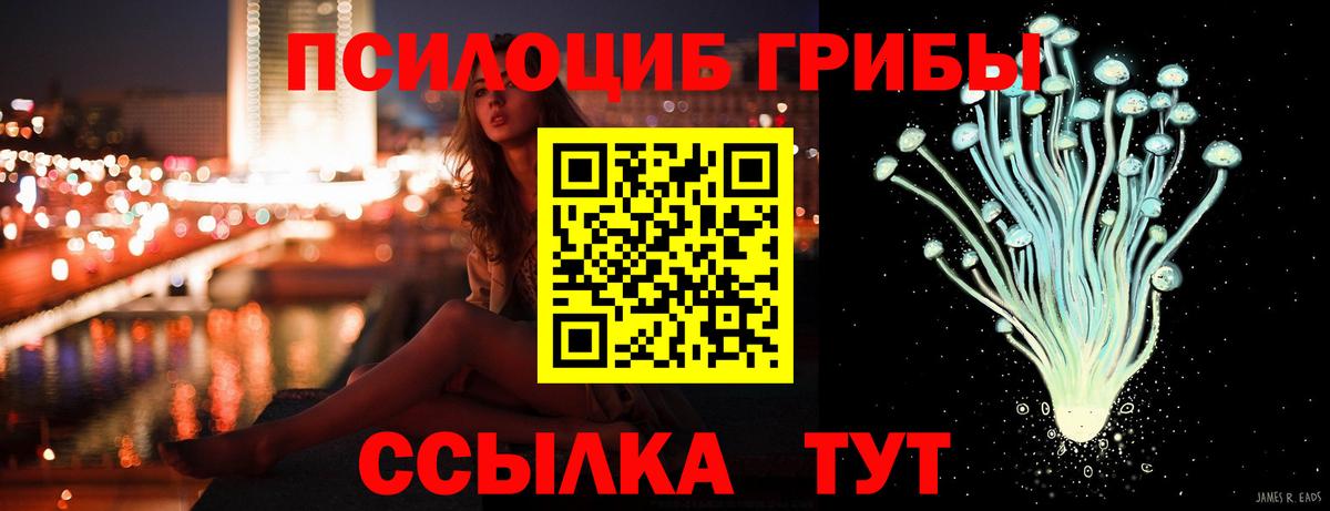 Дальнереченск  Галлюциногенные грибы мухоморы  купить  цена  Вход с VPN 
