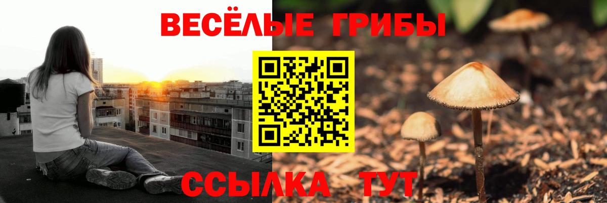 Галлюциногенные грибы MAGIC MUSHROOMS Дальнереченск