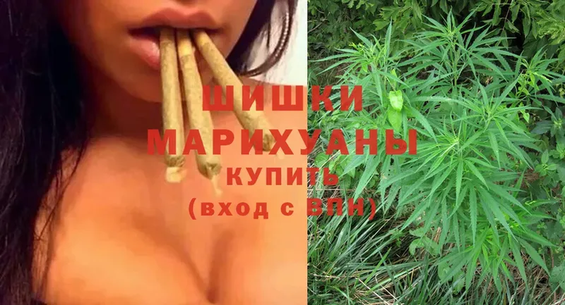 Шишки марихуана OG Kush  гидра ТОР  Дальнереченск 