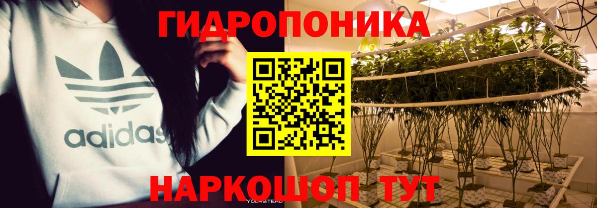 Шишки марихуана тримм  Шишки марихуана марихуана  Шишки марихуана VHQ  Вход с VPN  Дальнереченск 